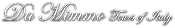 DaMimmo Tours Logo